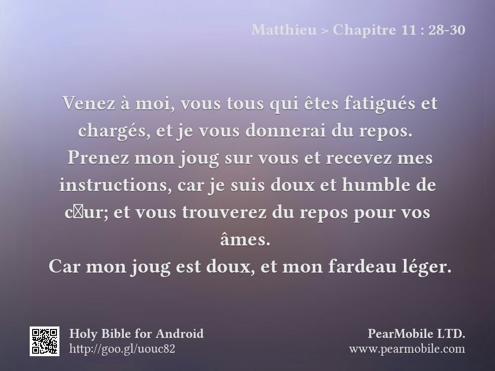 Matthieu, Chapitre 11:28-30